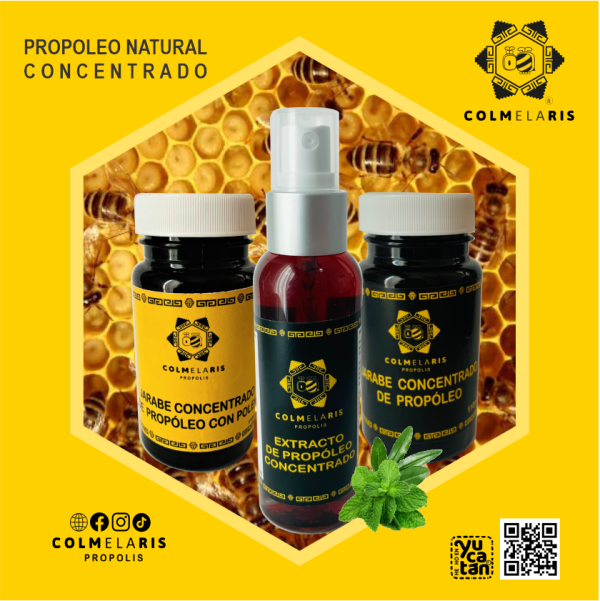3Pzas SET  JARABES & EXTRACTO DE PROPOLEO CONCENTRADO COLMELARIS