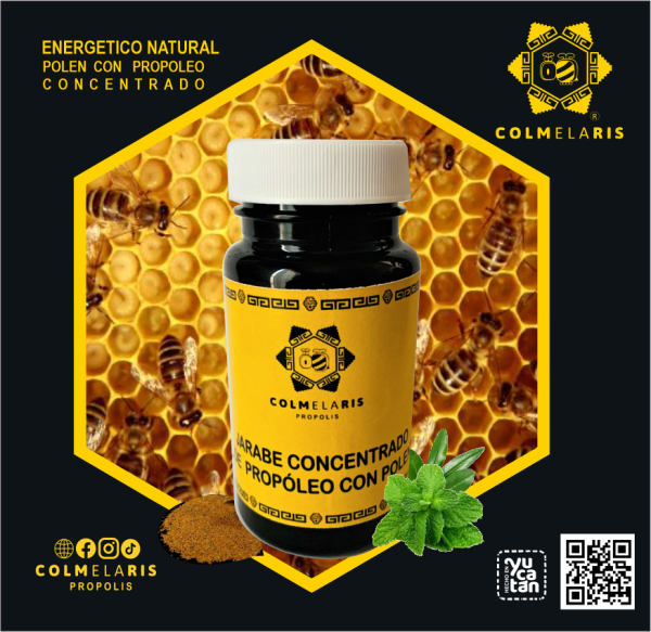 3Pzas SET  JARABES & EXTRACTO DE PROPOLEO CONCENTRADO COLMELARIS - Imagen 4