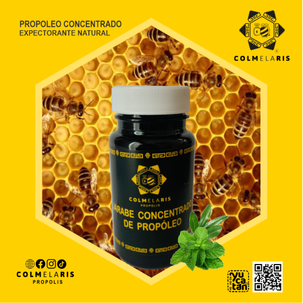 3Pzas SET  JARABES & EXTRACTO DE PROPOLEO CONCENTRADO COLMELARIS - Imagen 3